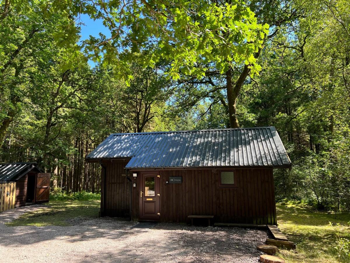 Loch Aweside Forest Cabins Dalavich ภายนอก รูปภาพ