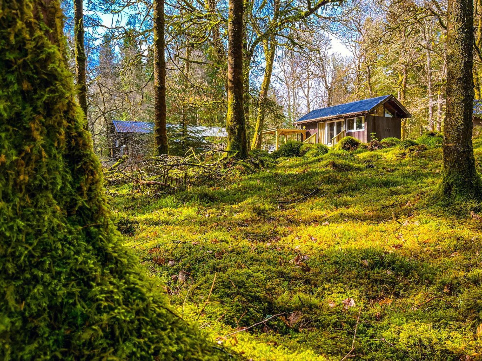 Loch Aweside Forest Cabins Dalavich ห้อง รูปภาพ